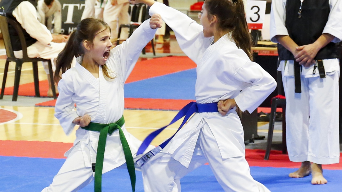 La violenza e la pratica del KarateDo